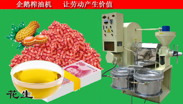 鄭州企鵝為山東四百六十萬榨油設(shè)備正式簽單(圖1) 花生榨油機(jī)