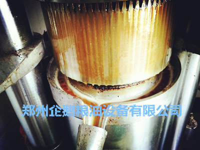 榨油機最容易出現哪些問題(圖1) 榨油機最容易出現哪些問題(圖1)