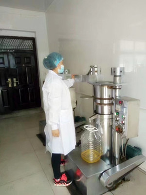 新年鉅惠企鵝榨油機新品有保證(圖2)